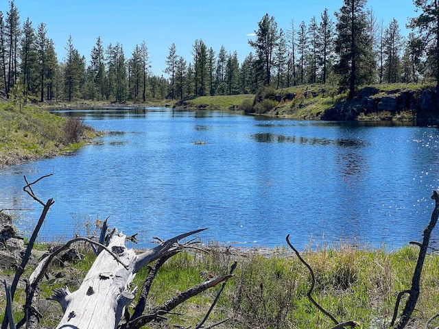 0 S Stangland Rd, Medical Lake, WA 99022