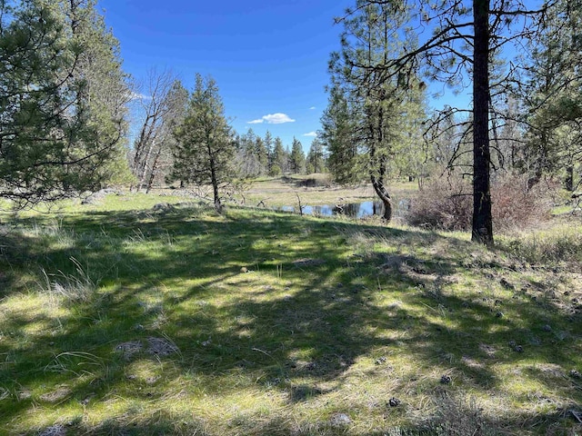 0 S Stangland Rd, Medical Lake, WA 99022