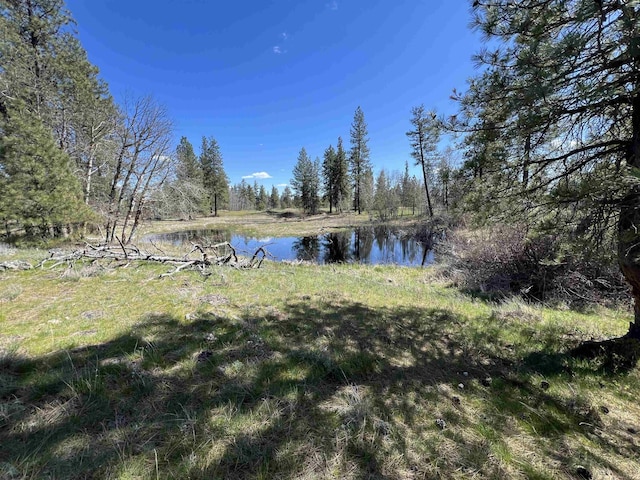 0 S Stangland Rd, Medical Lake, WA 99022