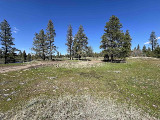 0 S Stangland Rd, Medical Lake, WA 99022