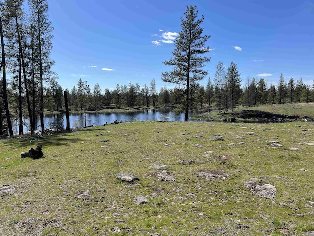 0 S Stangland Rd, Medical Lake, WA 99022