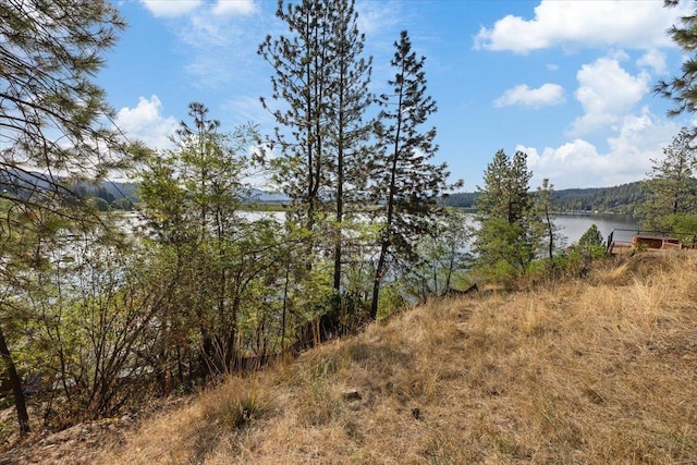 23605 E Beach Ln, Newman Lake, WA 99025 - water view with a forest