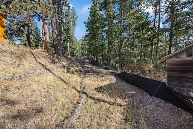 23605 E Beach Ln, Newman Lake, WA 99025 - view of yard