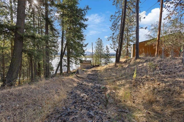 23605 E Beach Ln, Newman Lake, WA 99025 - view of yard
