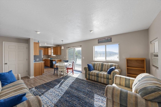 23605 E Beach Ln, Newman Lake, WA 99025 - living area with light wood-style floors, a textured ceiling, and baseboards