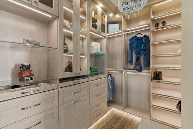 7406 S Deerview Ln, Spokane, WA 99223 - spacious closet with a chandelier