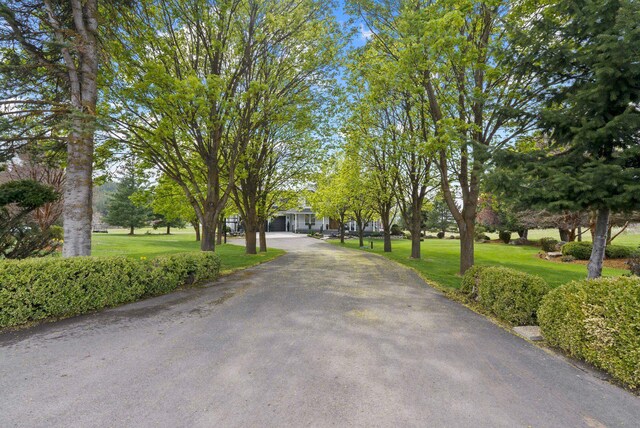 7406 S Deerview Ln, Spokane, WA 99223 - view of asphalt driveway