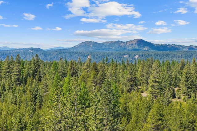 331 N Stateline Rd, Newport, WA 99156