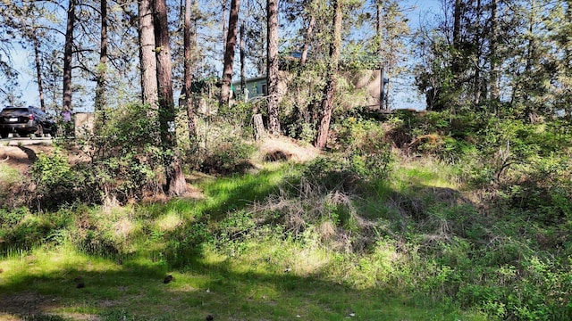 13901 S Clear Lake Way Spc 719, Cheney, WA 99004