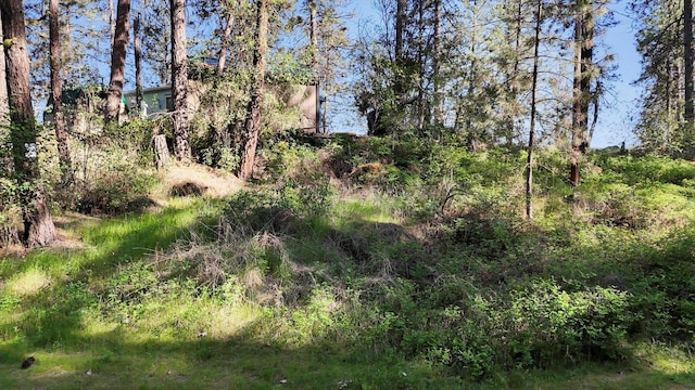 13901 S Clear Lake Way Spc 719, Cheney, WA 99004