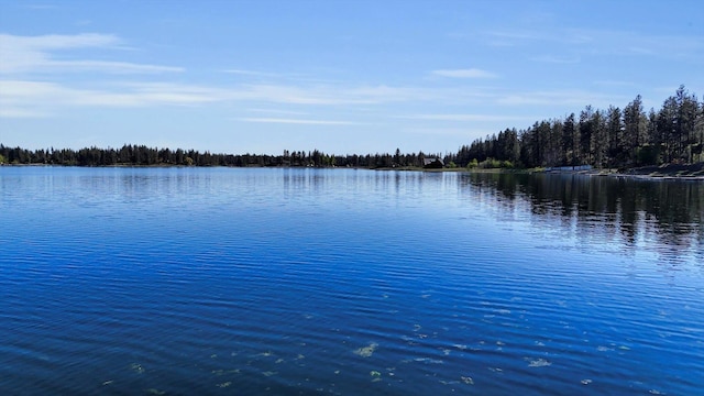 13901 S Clear Lake Way Spc 719, Cheney, WA 99004