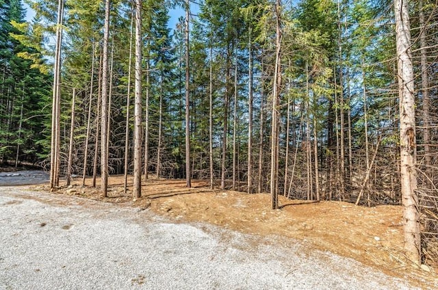 4851 Coyote Trl, Newport, WA 99156