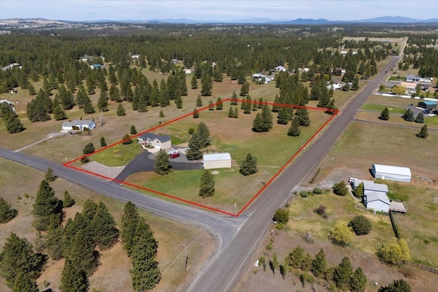 17206 W Buckboard Ave, Medical Lake, WA 99022 - aerial view of property's location with property boundaries highlighted and a heavily wooded area
