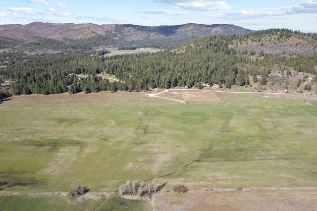 4617 Bellstar Rd, Clayton, WA 99110