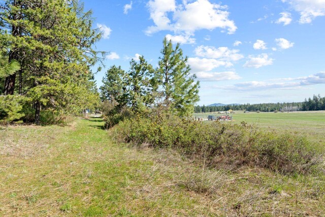 4617 Bellstar Rd, Clayton, WA 99110