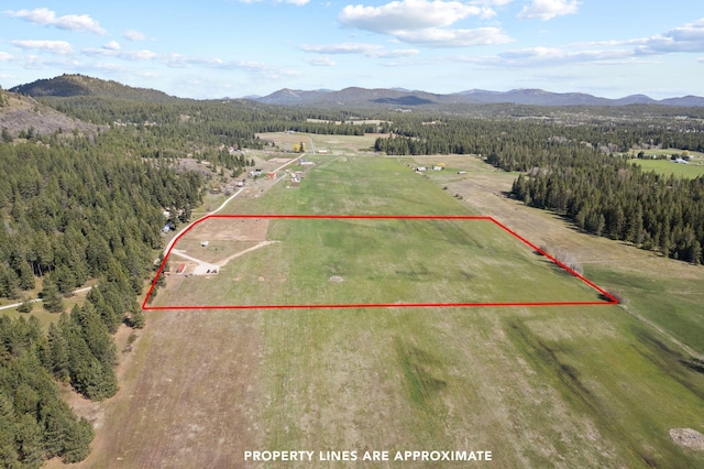 4617 Bellstar Rd, Clayton, WA 99110