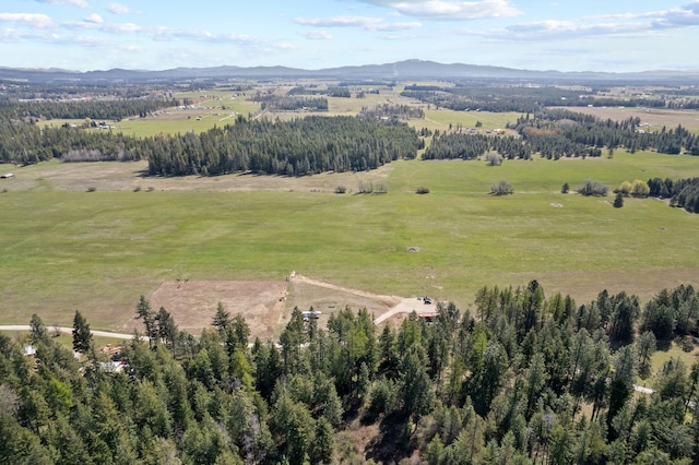 4617 Bellstar Rd, Clayton, WA 99110