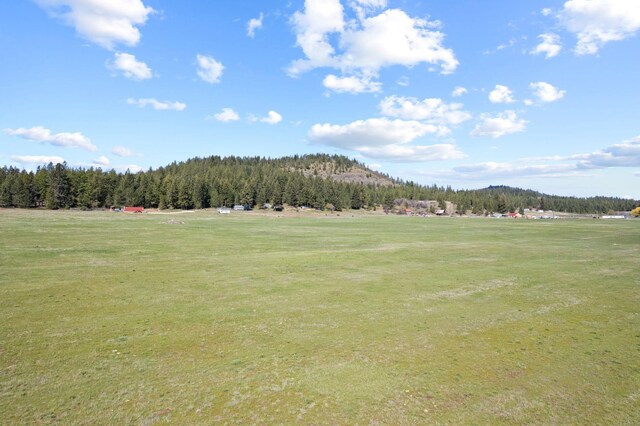 4617 Bellstar Rd, Clayton, WA 99110