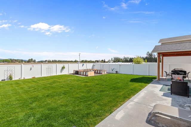 view of yard featuring a patio area