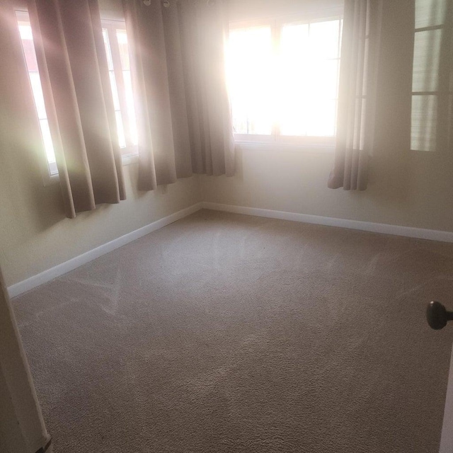 272 S Alder St, Colville, WA 99141 - photo 29