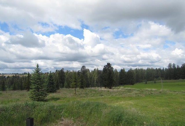 17816 N Day Mt Spokane Rd, Mead, WA 99021 - photo 20