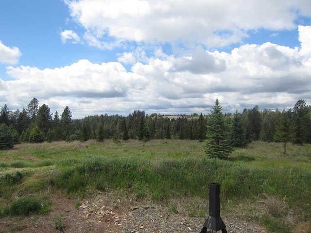 17816 N Day Mt Spokane Rd, Mead, WA 99021 - photo 21