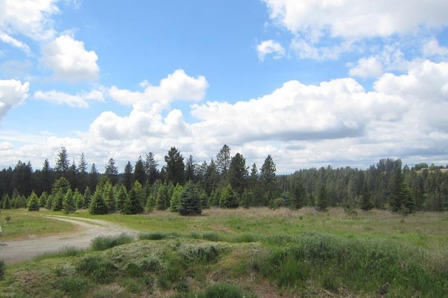 17816 N Day Mt Spokane Rd, Mead, WA 99021 - photo 22