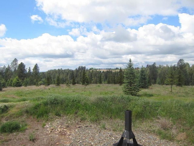 17816 N Day Mt Spokane Rd, Mead, WA 99021 - photo 23