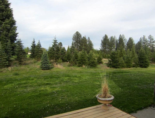 17816 N Day Mt Spokane Rd, Mead, WA 99021 - photo 4