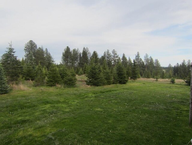 17816 N Day Mt Spokane Rd, Mead, WA 99021 - photo 5