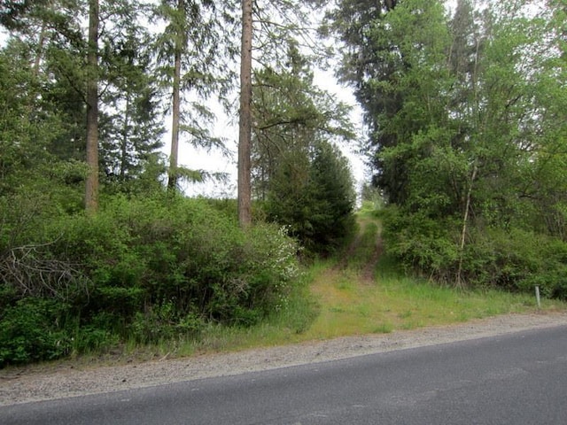 17816 N Day Mt Spokane Rd, Mead, WA 99021 - photo 6