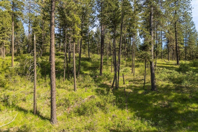 7600 W Bernhill Rd, Spokane, WA 99208 - photo 8