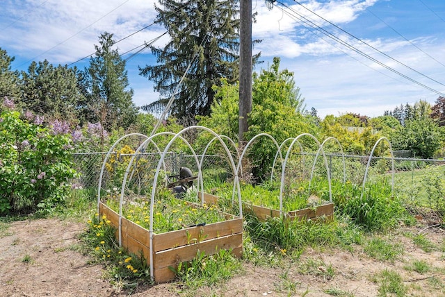 gate with a garden