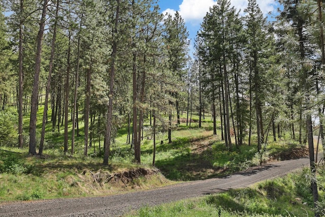 NKA Weaver Way Lot 4Of Lot 1, Deer Park, WA 99006 - photo 2