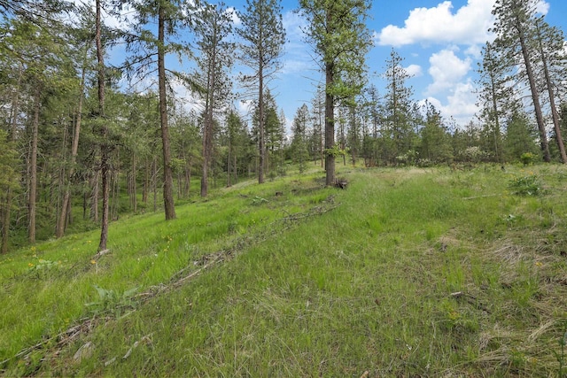 NKA Weaver Way Lot 4Of Lot 1, Deer Park, WA 99006 - photo 11