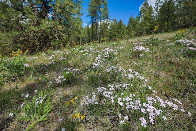 NKA Weaver Way Lot 4Of Lot 1, Deer Park, WA 99006 - photo 12