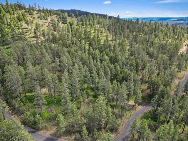 NKA Weaver Way Lot 4Of Lot 1, Deer Park, WA 99006 - photo 13