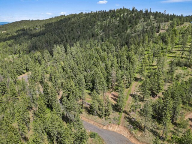NKA Weaver Way Lot 4Of Lot 1, Deer Park, WA 99006 - photo 14