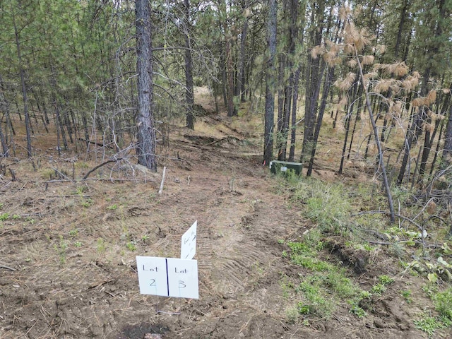 NKA Weaver Way Lot 4Of Lot 1, Deer Park, WA 99006 - photo 15