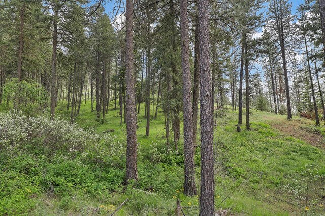 NKA Weaver Way Lot 4Of Lot 1, Deer Park, WA 99006 - photo 4