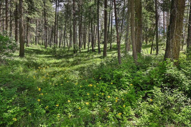 NKA Weaver Way Lot 4Of Lot 1, Deer Park, WA 99006 - photo 5
