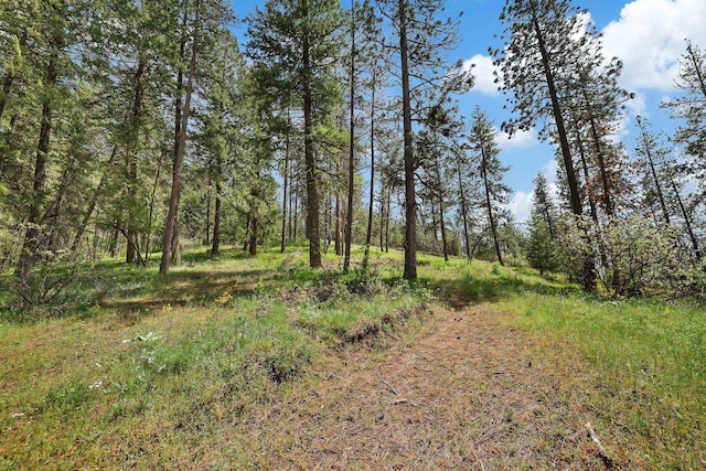 NKA Weaver Way Lot 4Of Lot 1, Deer Park, WA 99006 - photo 6