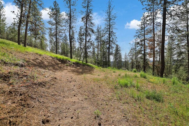 NKA Weaver Way Lot 4Of Lot 1, Deer Park, WA 99006 - photo 7