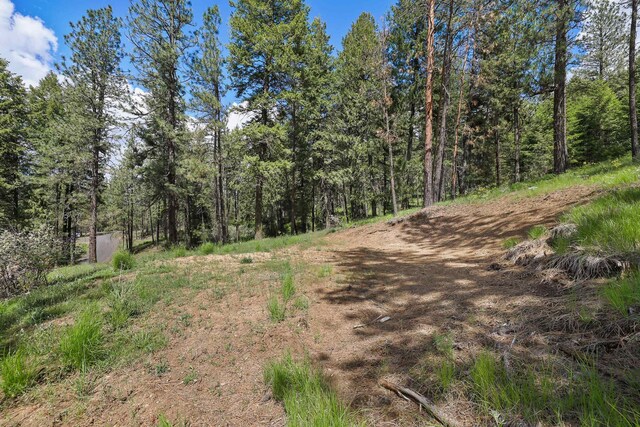 NKA Weaver Way Lot 4Of Lot 1, Deer Park, WA 99006 - photo 8
