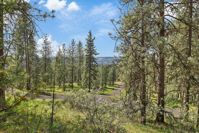 NKA Weaver Way Lot 4Of Lot 1, Deer Park, WA 99006 - photo 9
