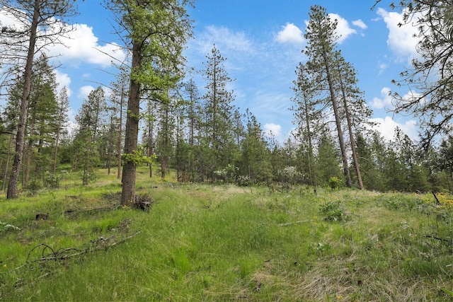 NKA Weaver Way Lot 4Of Lot 1, Deer Park, WA 99006 - photo 10