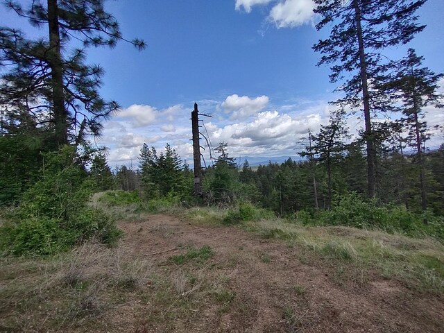 XX Ranch Rd, Loon Lake, WA 99148
