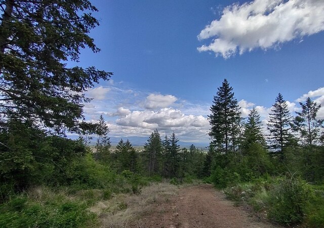 XX Ranch Rd, Loon Lake, WA 99148