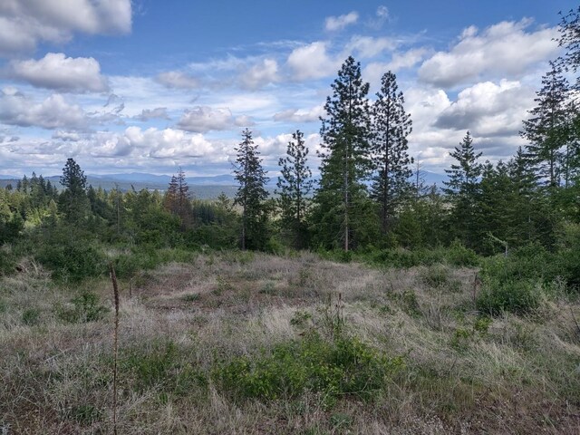 XX Ranch Rd, Loon Lake, WA 99148