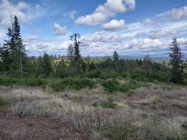 XX Ranch Rd, Loon Lake, WA 99148
